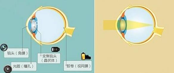 怎么佩戴老花鏡？驗光 品牌 質(zhì)量 保養一個(gè)都不能少