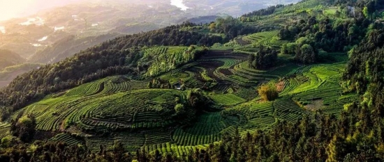 美麗島多焦鏡：這個(gè)明凈新春，以時(shí)間為軸，扶搖直上
