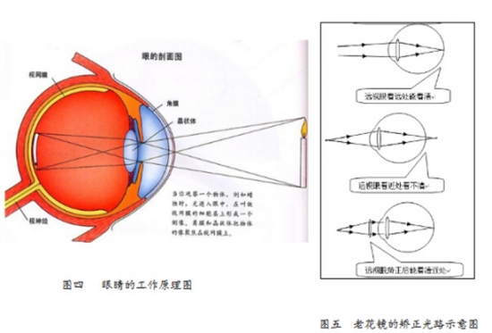 美麗島眼鏡：老花鏡不可隨意亂帶，需要在專(zhuān)業(yè)驗光后科學(xué)配制